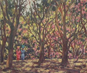 The Cashew Wood
